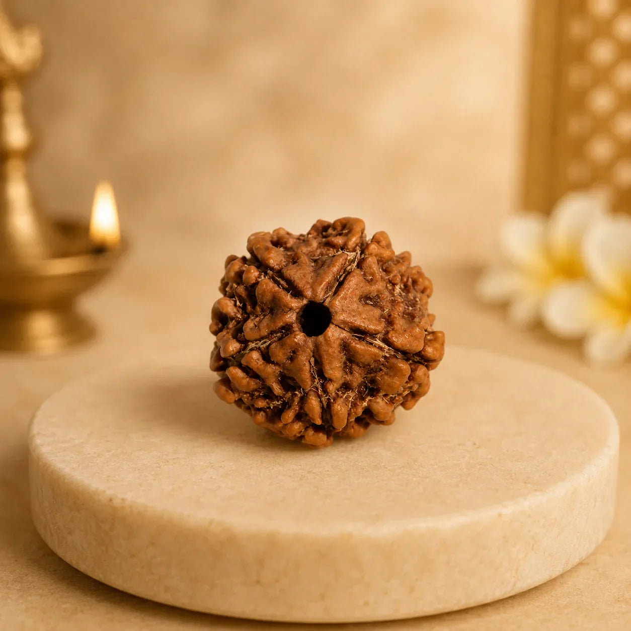 Rudraksha