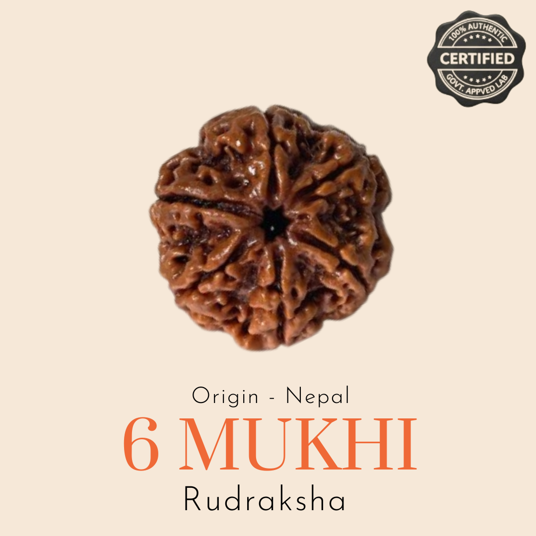 Original Nepal 6 Mukhi Rudraksha — Lab Certified