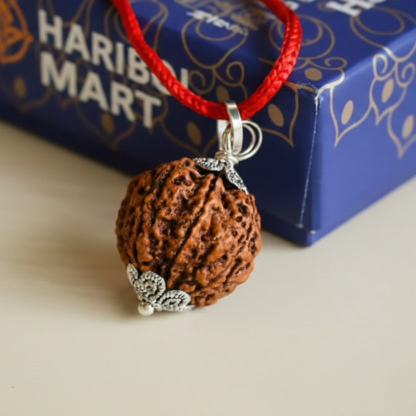 Rudraksha