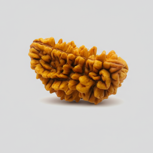 Rudraksha Beads