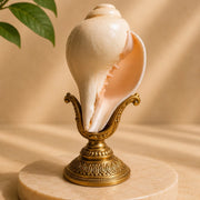 Natural Blowing Shankh for Puja | Original Sankh for Aarti & Temple Rituals | 14 cm