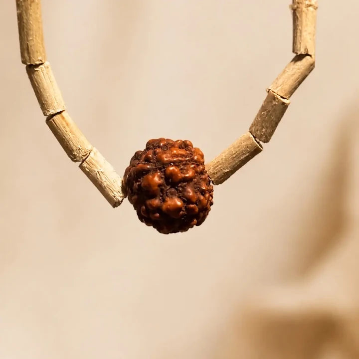 Close-up of Natural Tulsi Beads and Rudraksha Bead